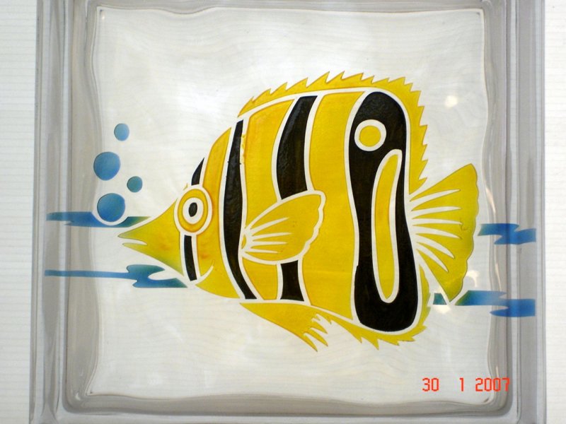 photo48.jpg